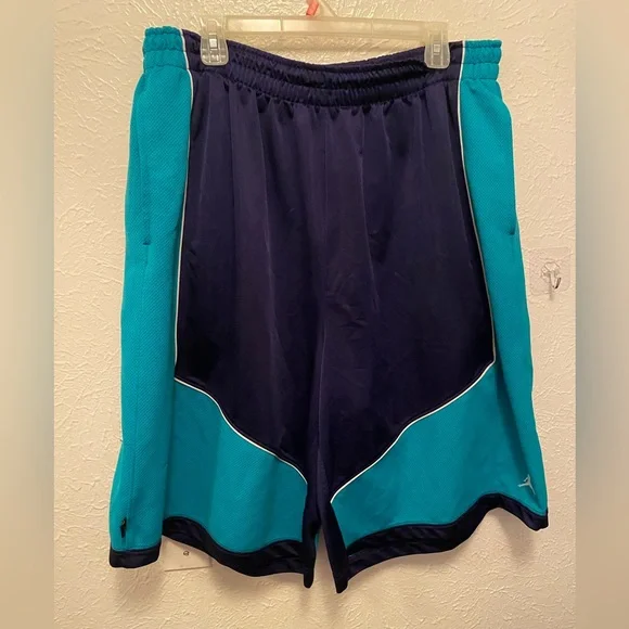 Jordan Charlotte Hornets Jersey shorts